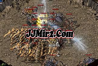 ��Ѫ�����̬