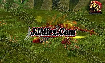 ������Ѫ����װ����ȫ