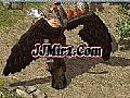 ������·��ʯĹʬ����ס����ϸ
